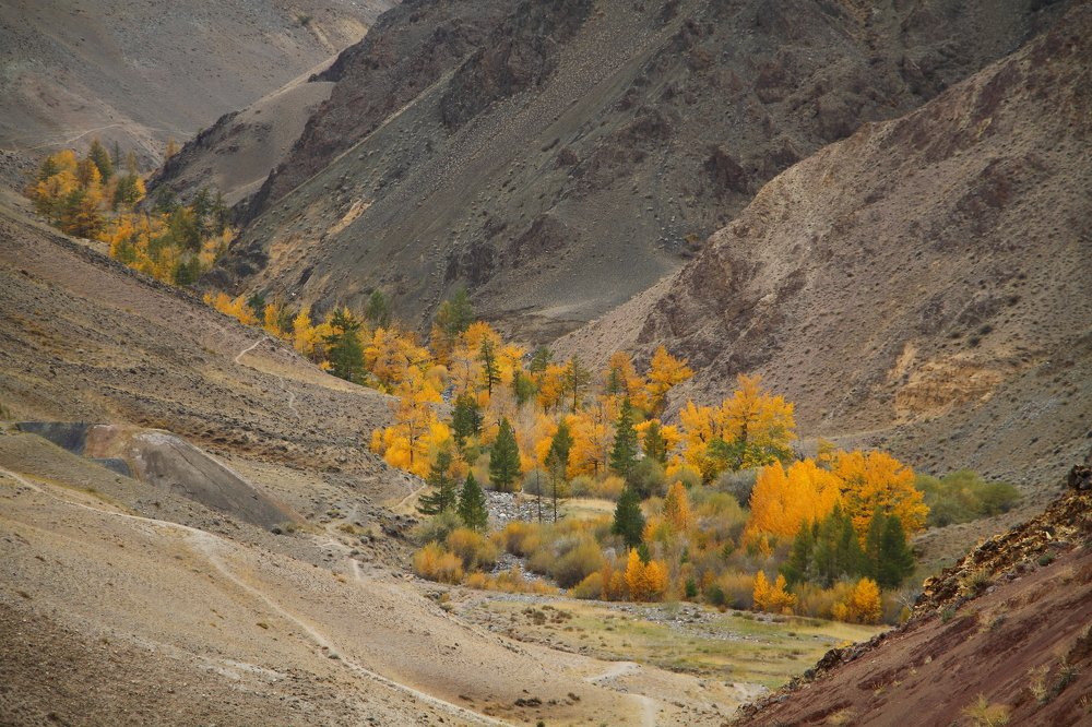Осень в горах Алтая.