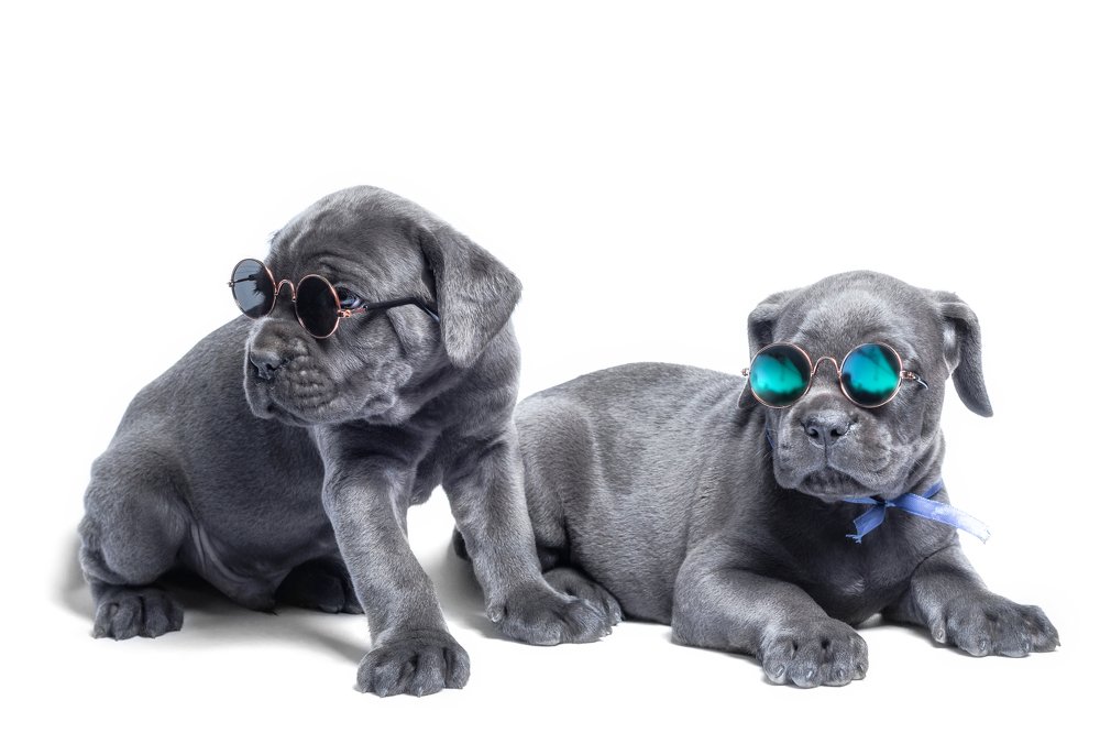 Фотография автора Гера Восьмая