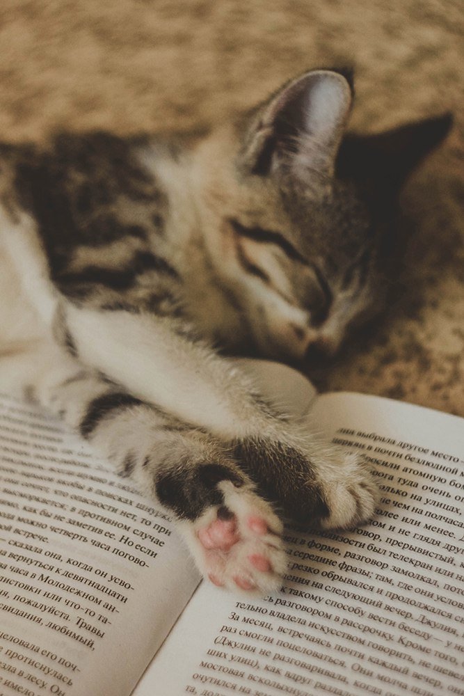 Photograph by Фролова Евгения