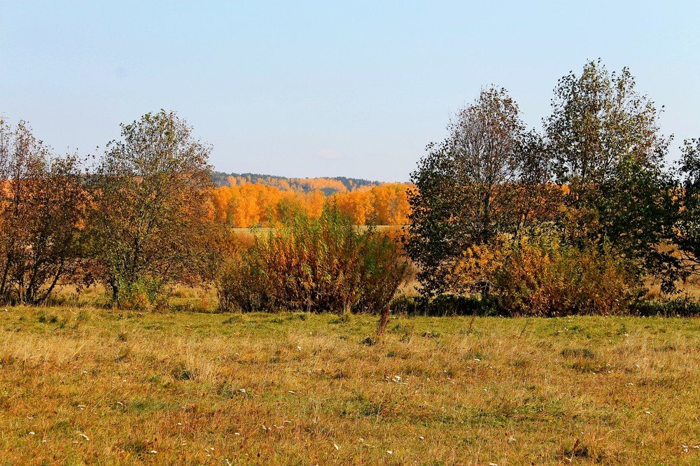 Photograph by Татьяна Перегудова