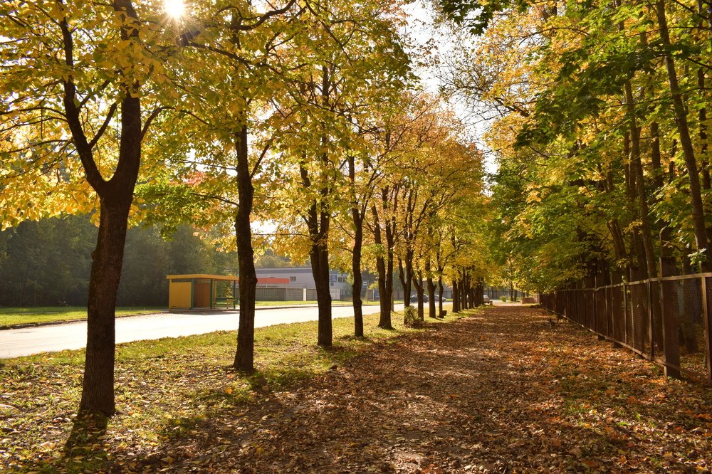 Photograph by Елена Викторовна Богданова