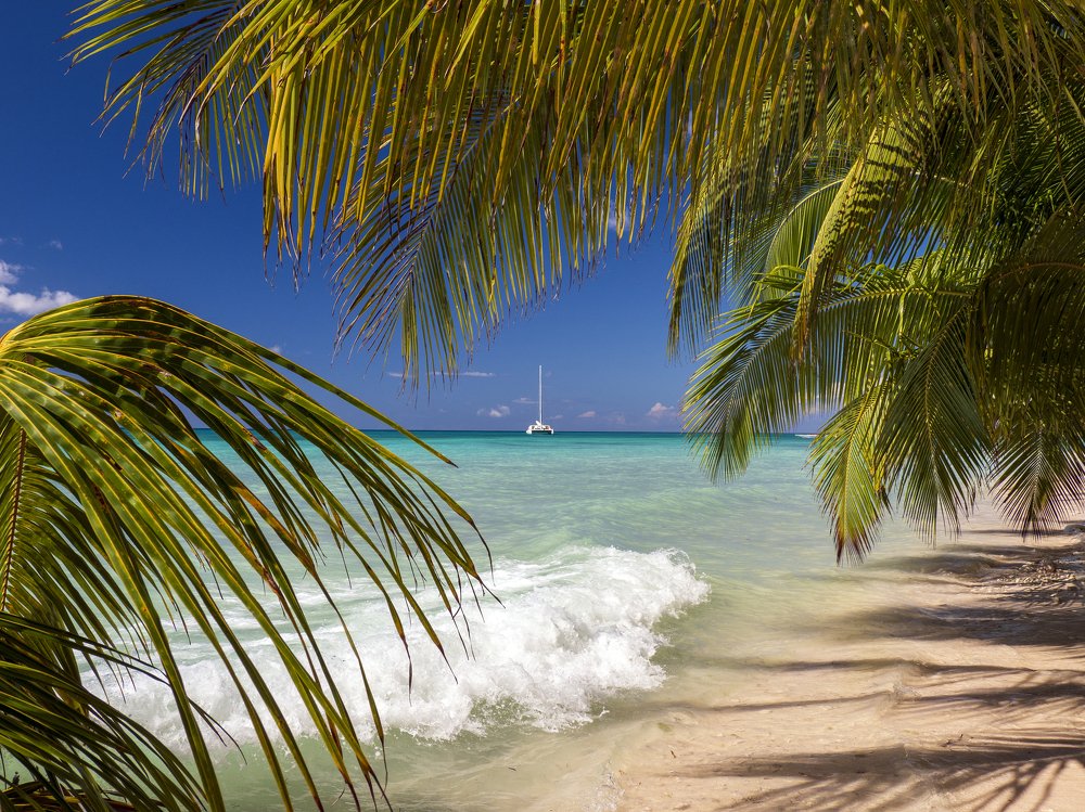 Тропический остров. Tropical island.