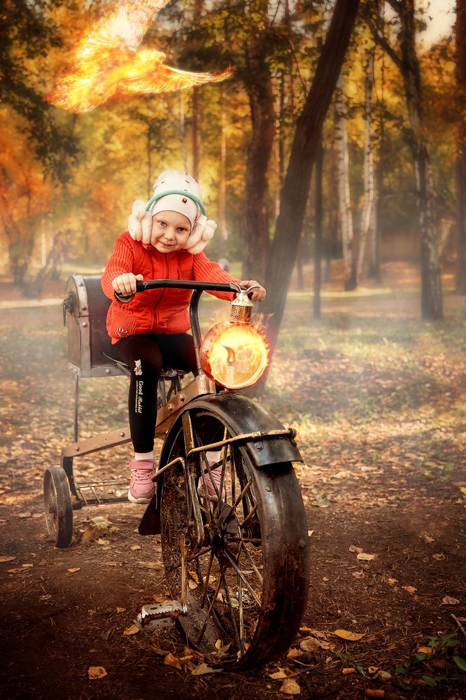 В погоне за жар-птицей.