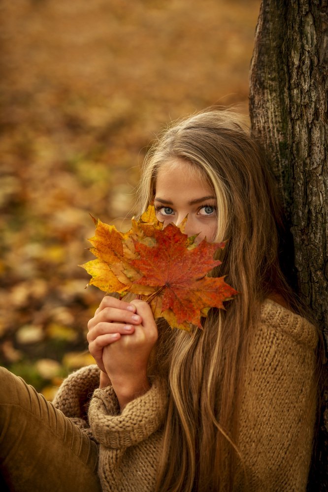 осенняя фея