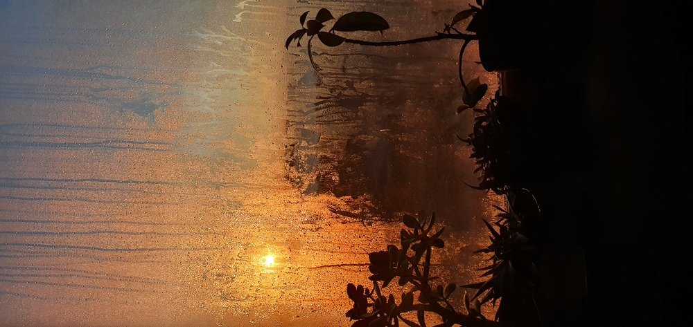 Photograph by Елена Молодзяновская