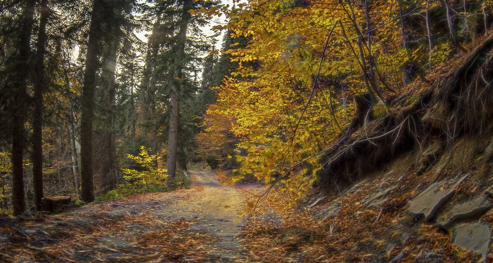 По неведомым дорожкам....