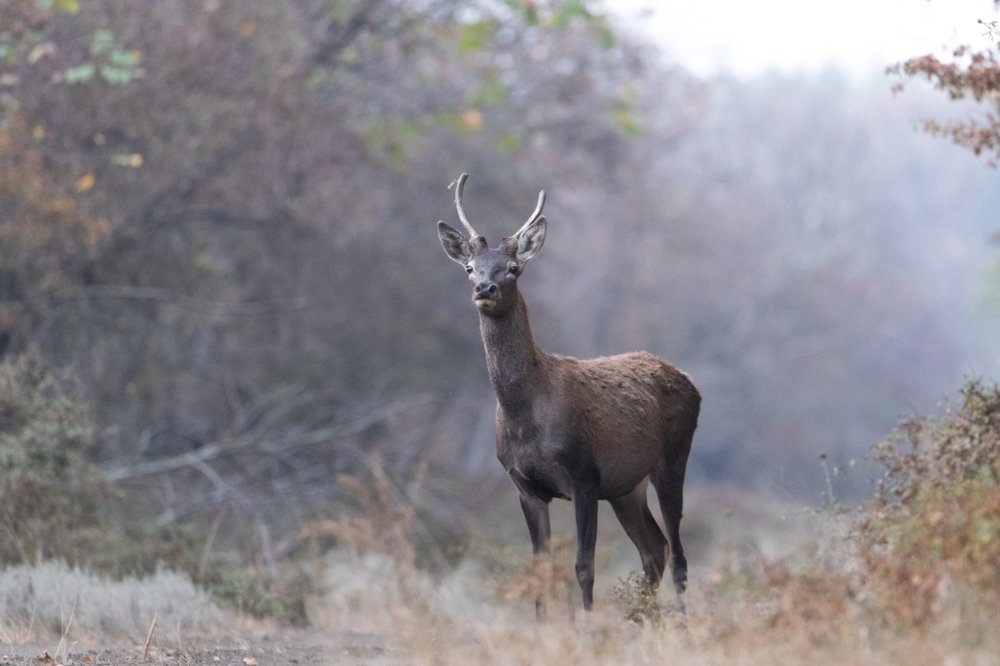 Photograph by Цветков Сергей