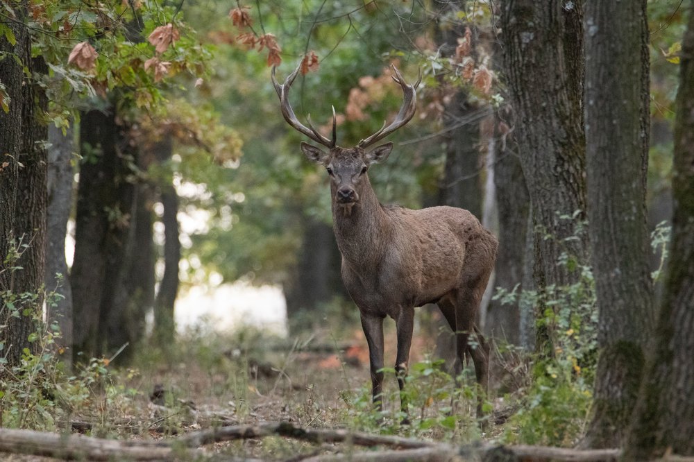 Фотография автора Цветков Сергей