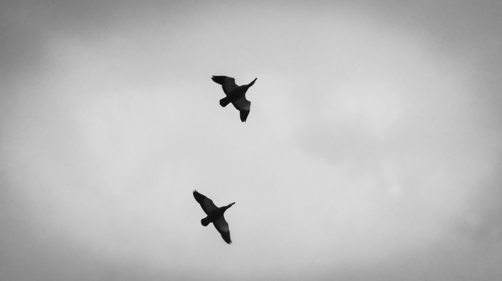 Photograph by Алексей Булгаков