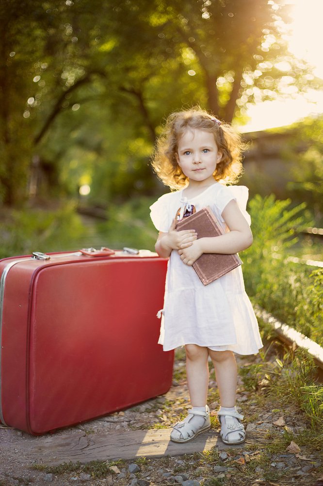 Книжный вор