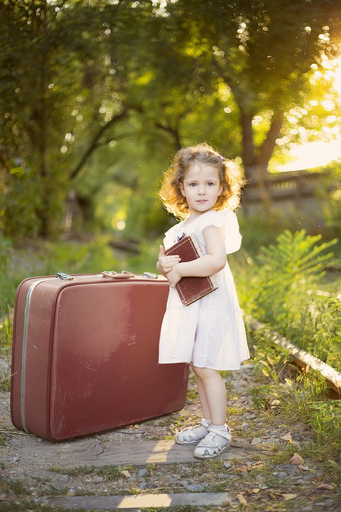 Книжный вор