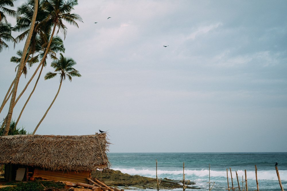 Photograph by Мария Парамонова