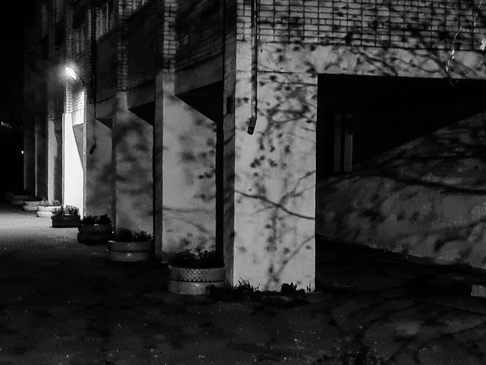 Photograph by Елена Квасова