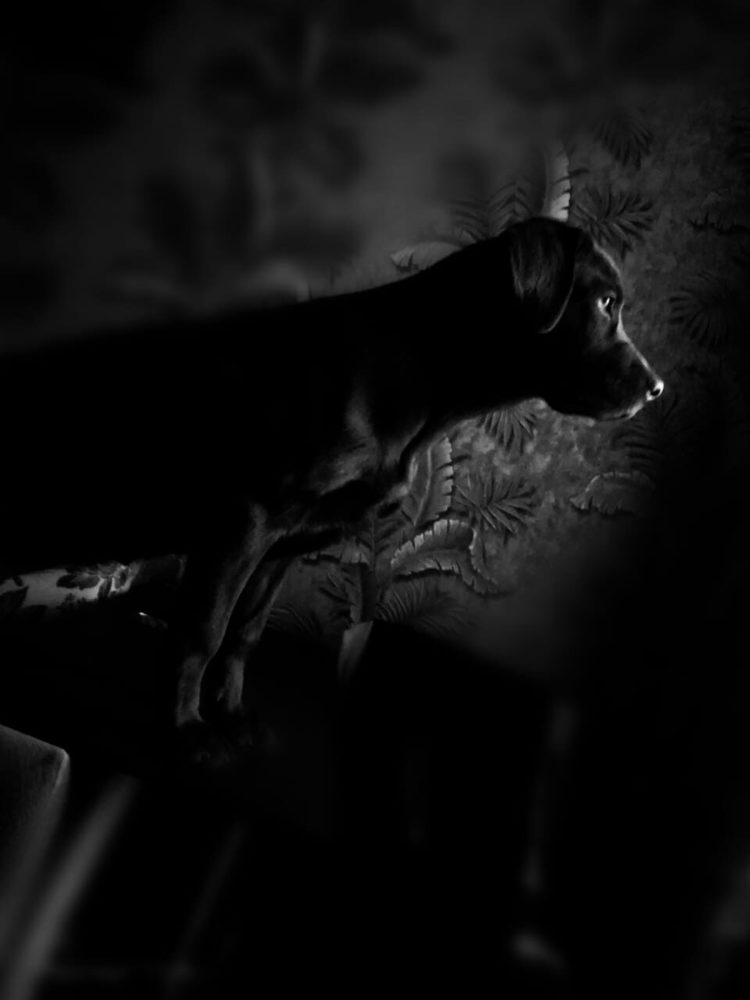 Photograph by Сергей Аборин