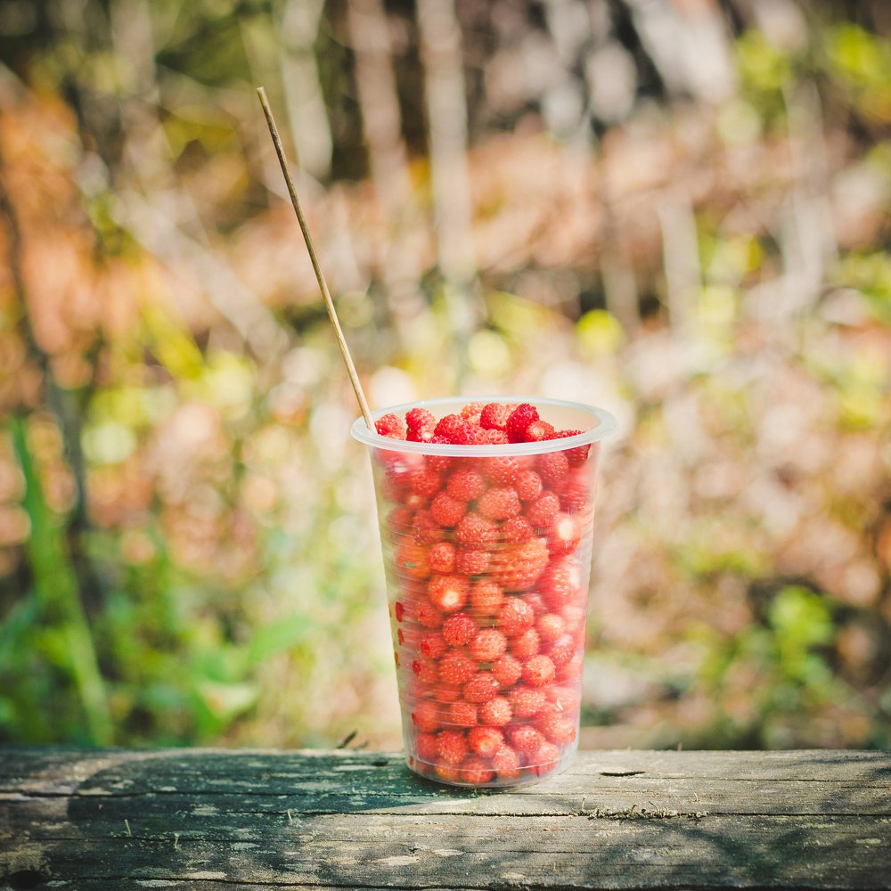 Photograph by Беловодченко