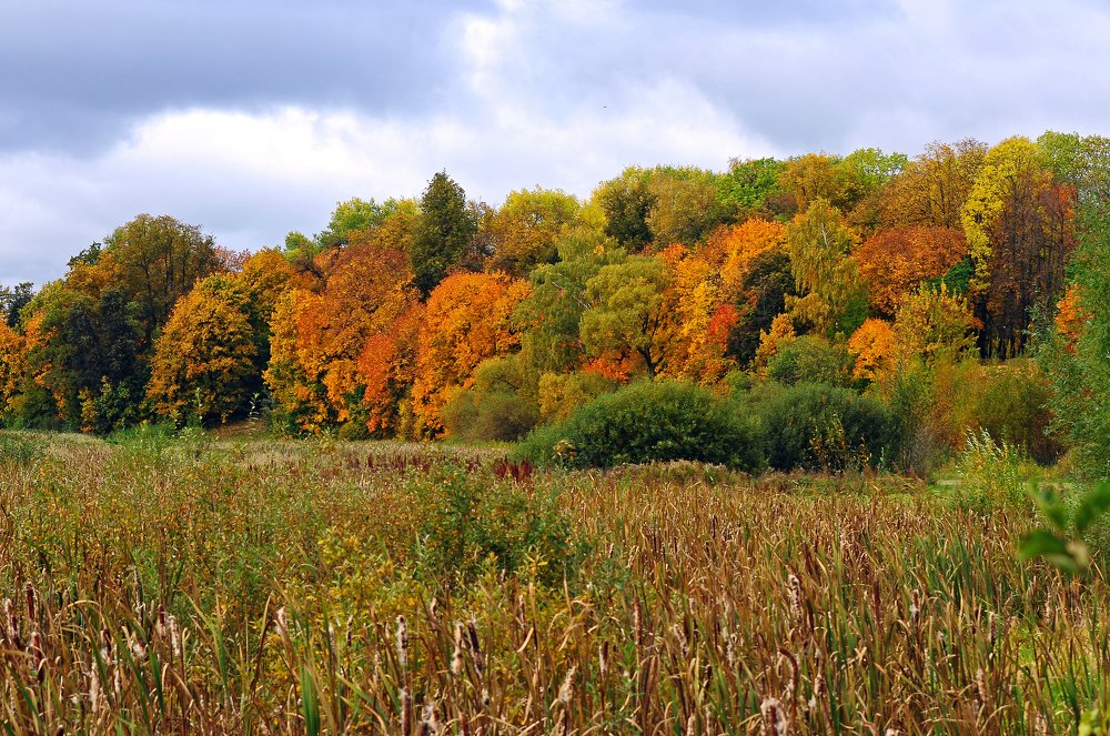 Фотография автора Антип