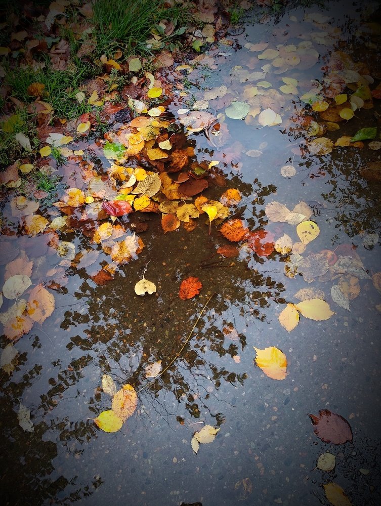 Photograph by Олеся Лосыгина