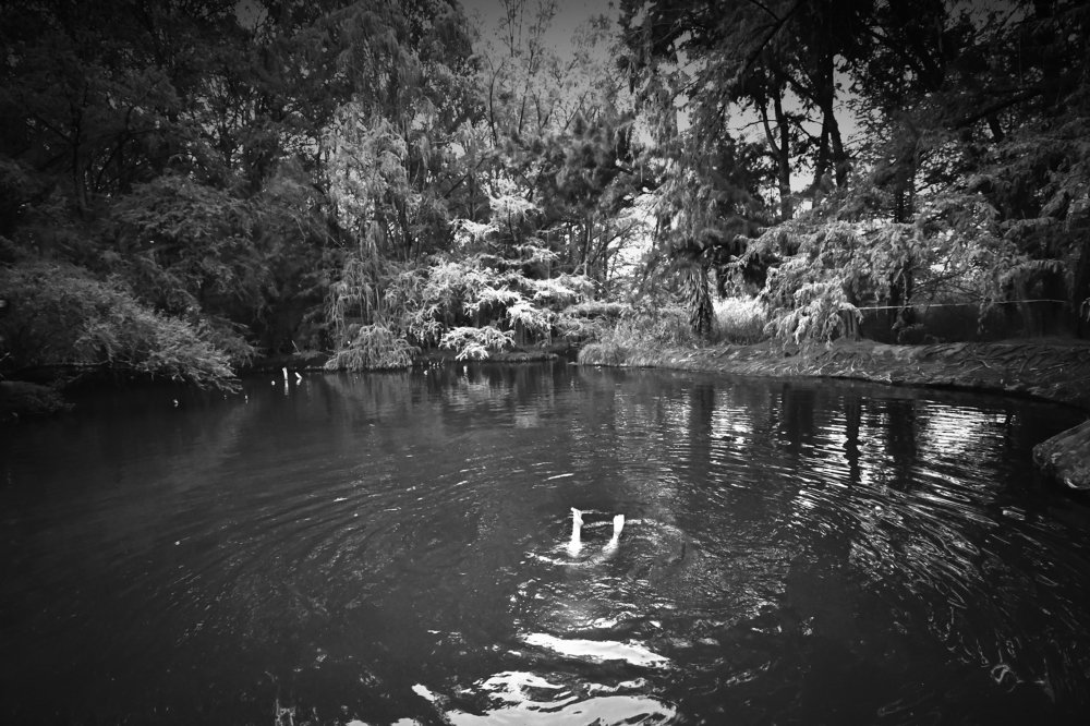 Photograph by Daniel Díaz