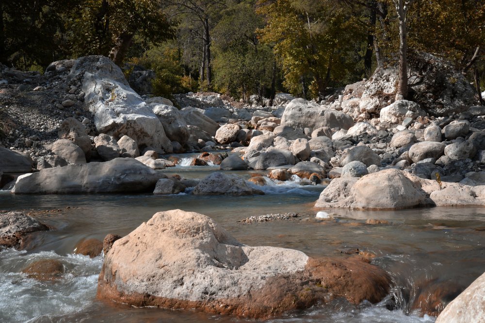 Photograph by Оксана Плугатарева