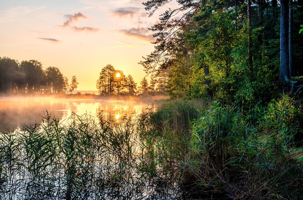 Еще одно утро