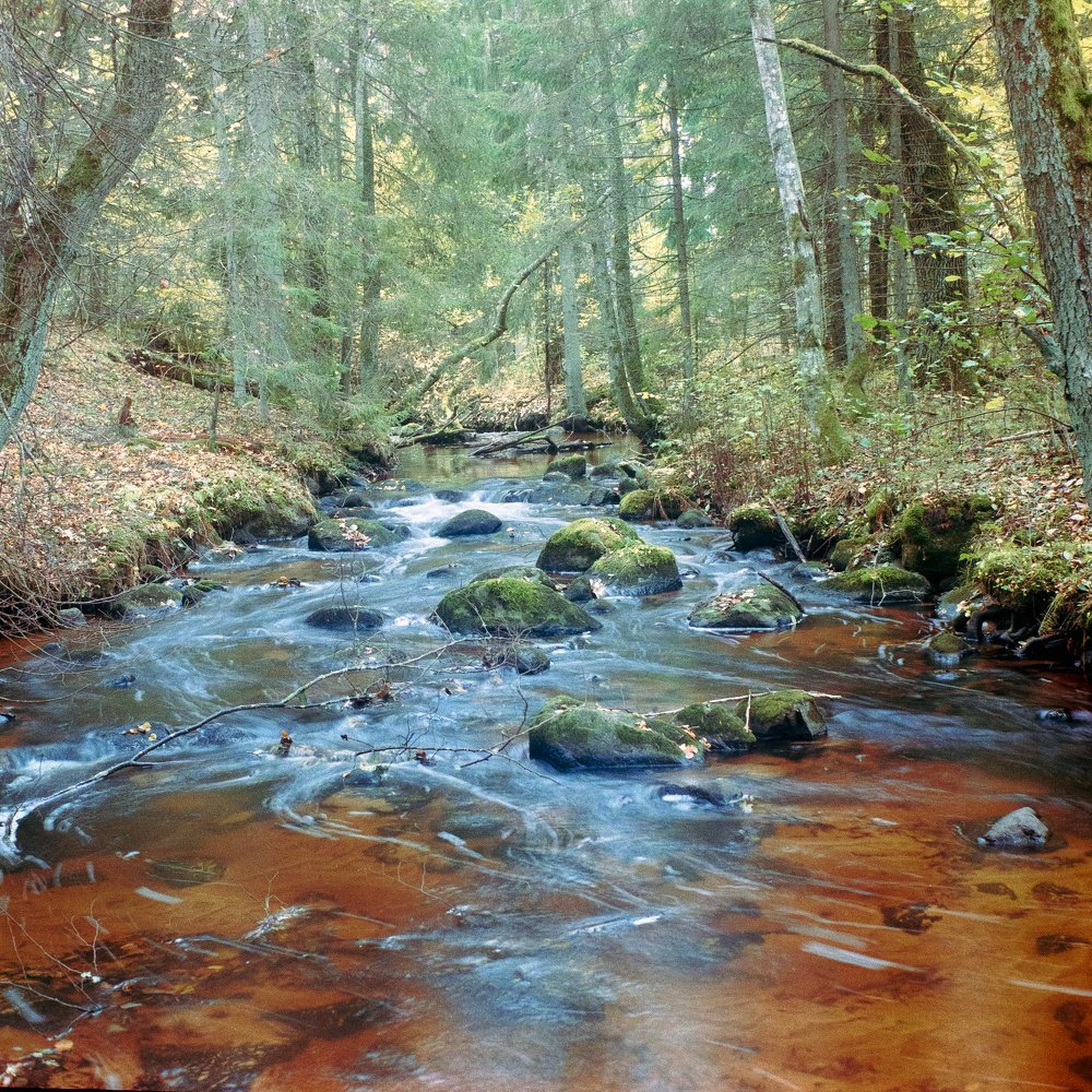 Photograph by Andres Papp