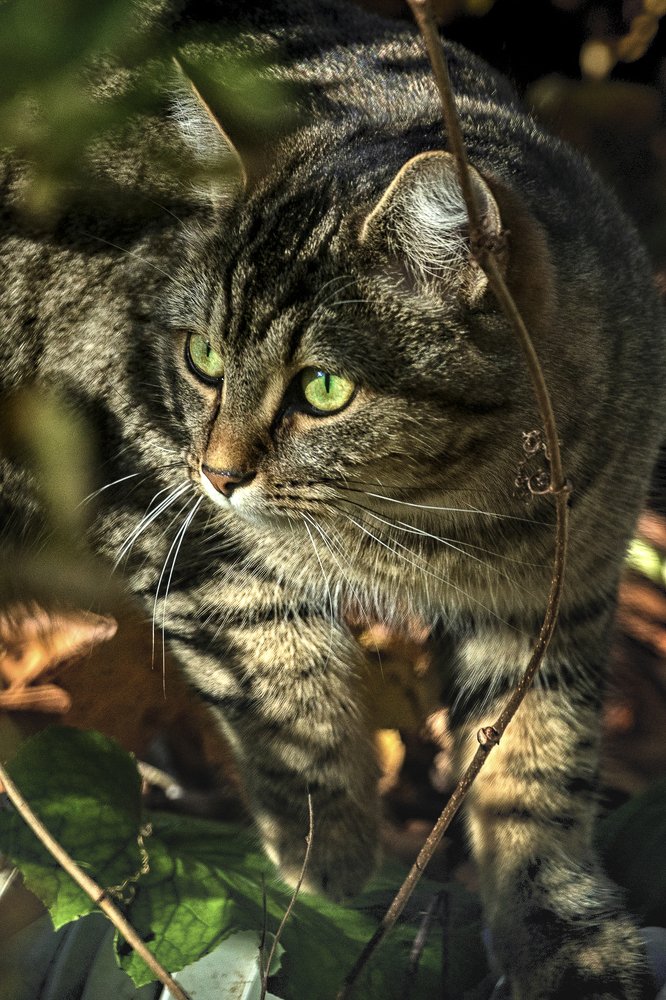 Photograph by Marc-Alain Ferragne