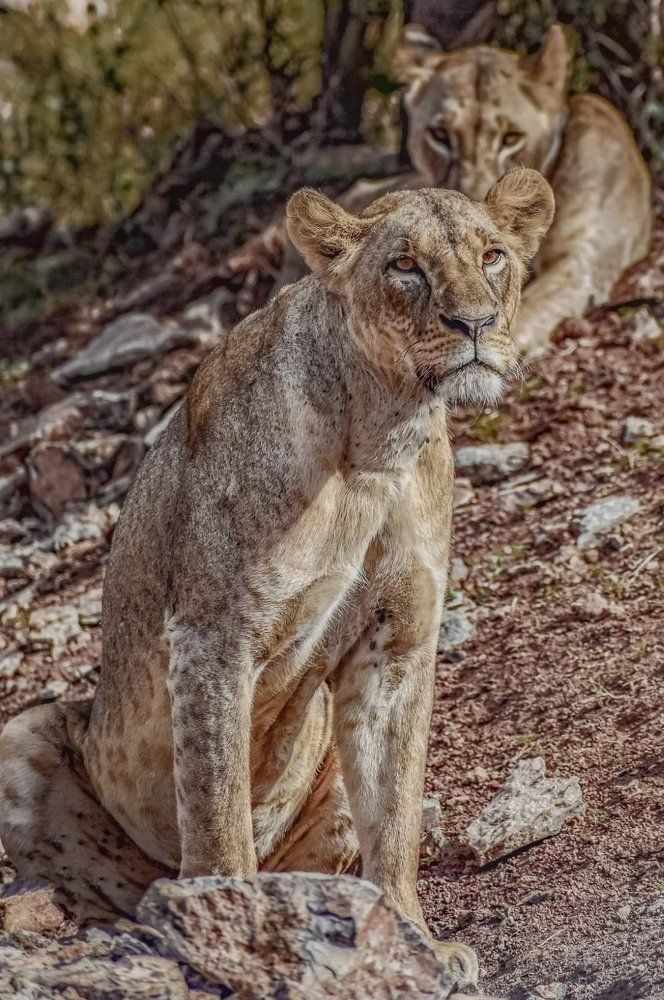 Photograph by Hitesh Kerai