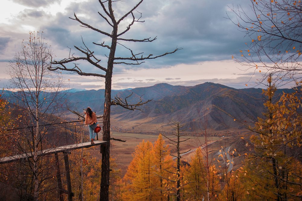 Фотография автора  Анастасия