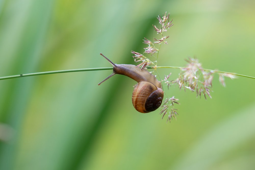Photograph by Елена Абдураманова