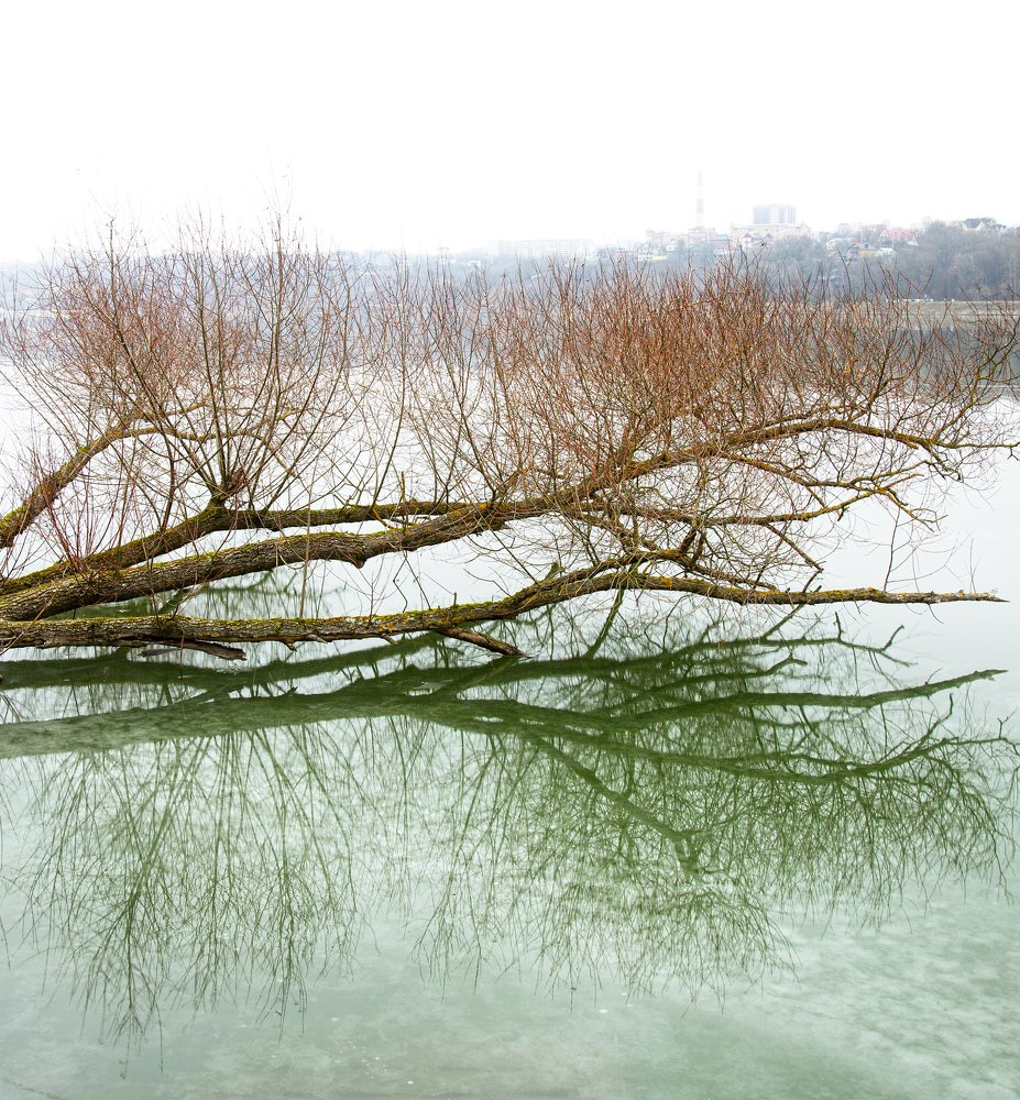 Photograph by Марианна Привроцкая