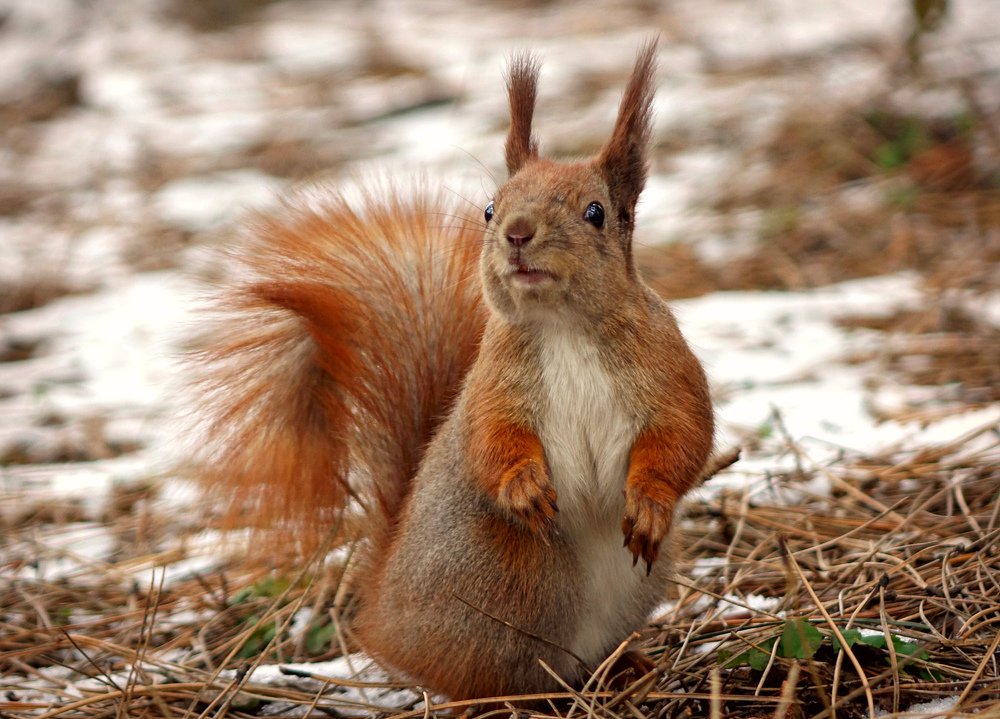 Самая обаятельная и привлекательная)))