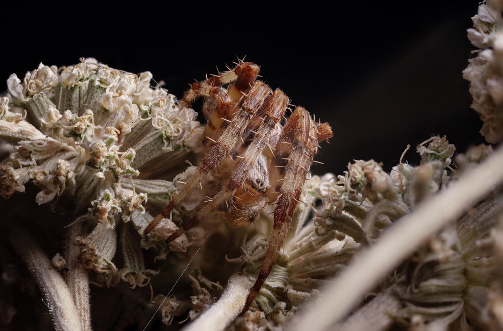 Photograph by Михаил Курихин