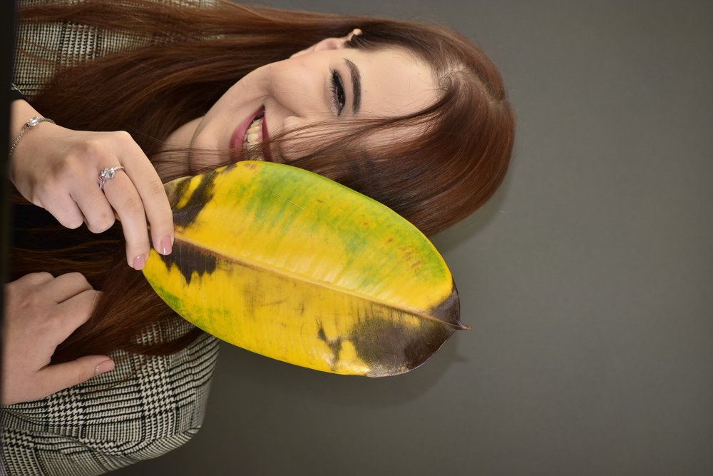 Радость жизни