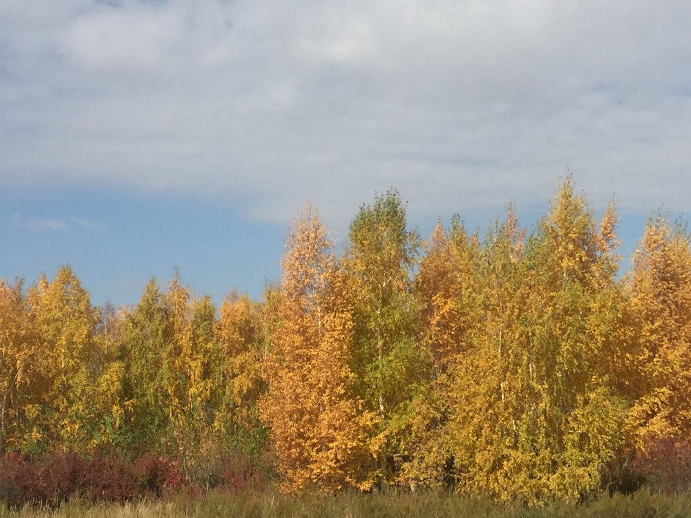 Photograph by  Меруерт