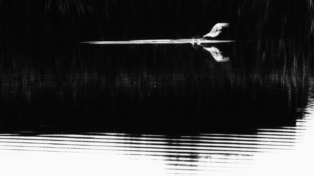 Photograph by Аркадий Саямов