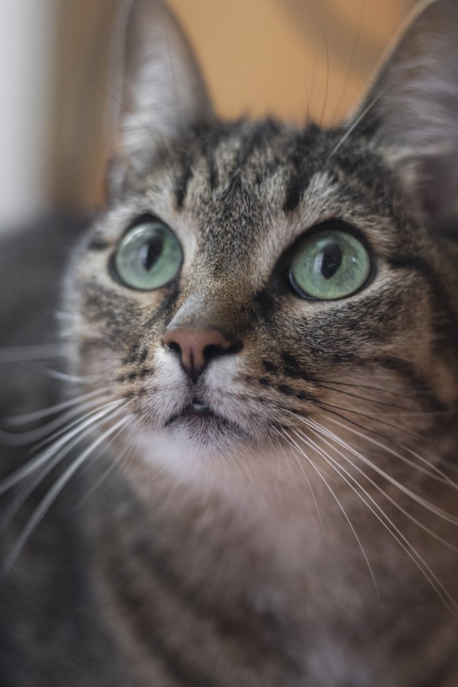 Photograph by Кирилл Ермилов