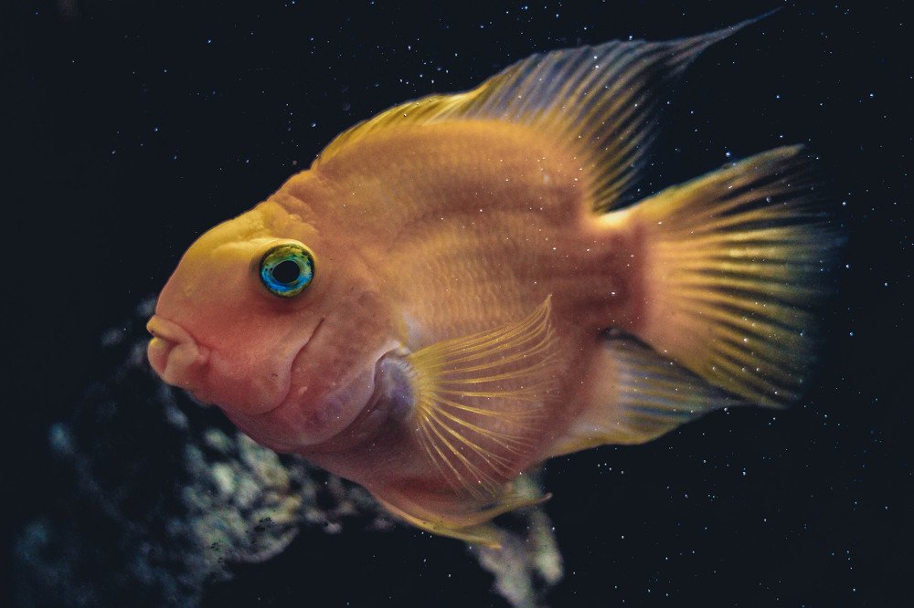 Photograph by Кирилл Ермилов