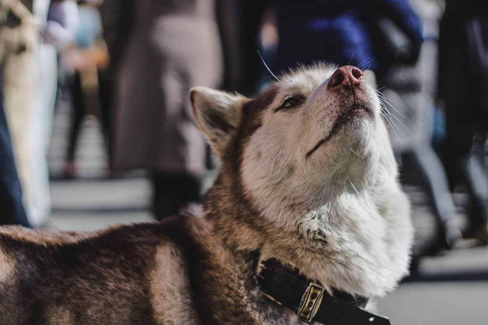 Photograph by Кирилл Ермилов