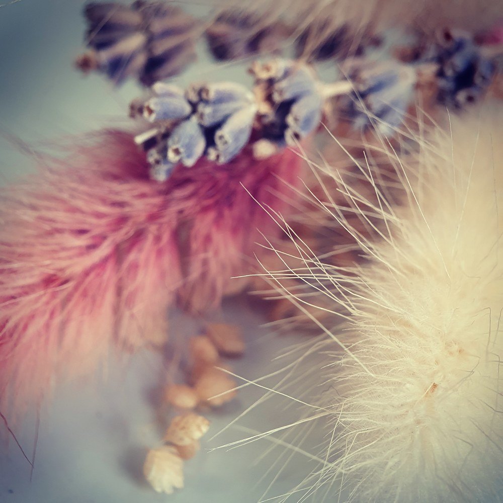 Фотография автора Юлия Таран