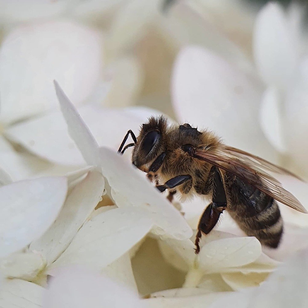 Фотография автора Юлия Таран