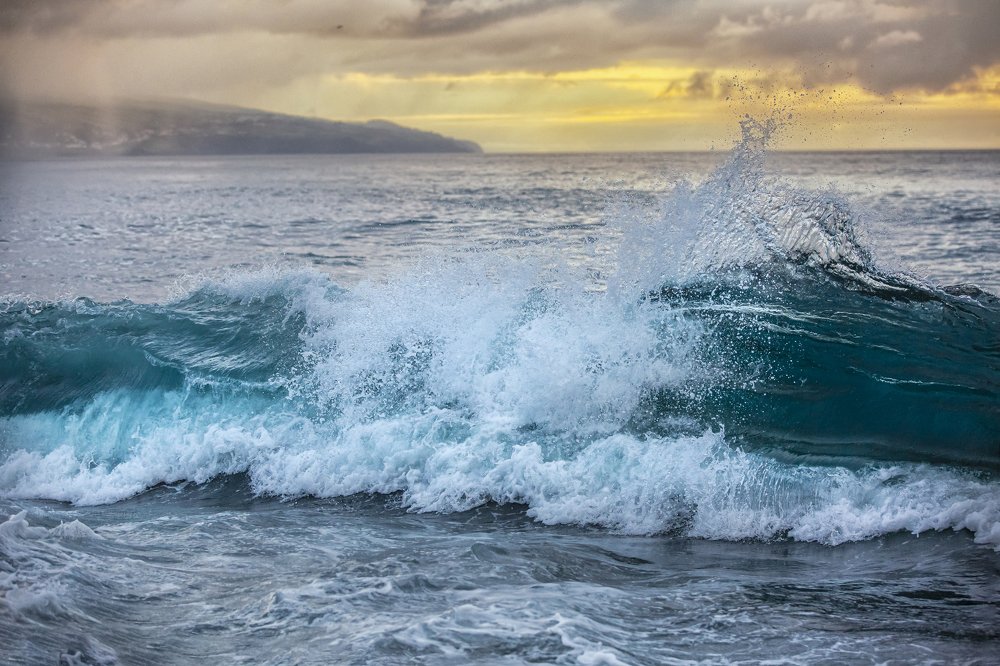 Photograph by Tetyana Vysochanska