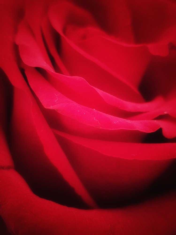 Фотография автора Юлия Таран