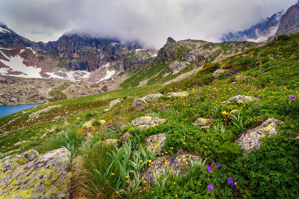 Июль, верховья реки Учкулан - притока Кубани, Северный Кавказ