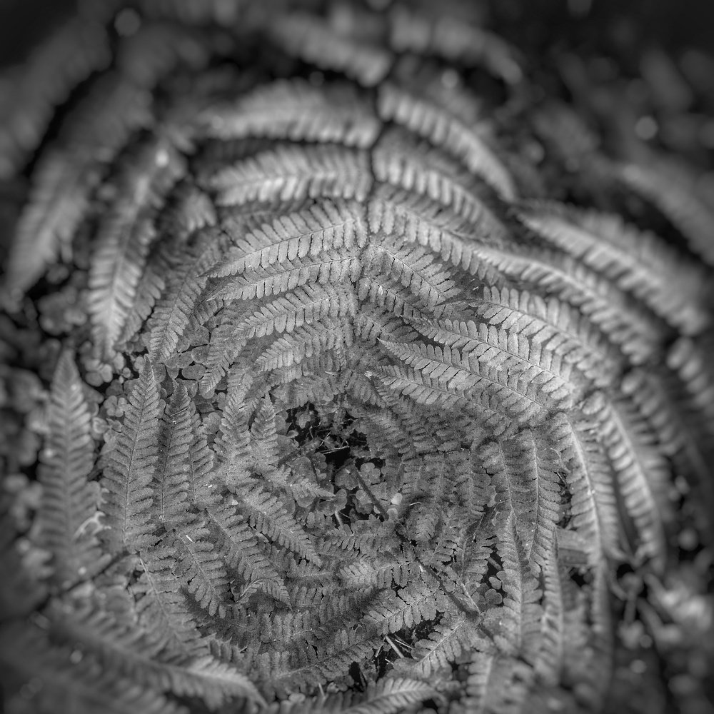 Photograph by Николай