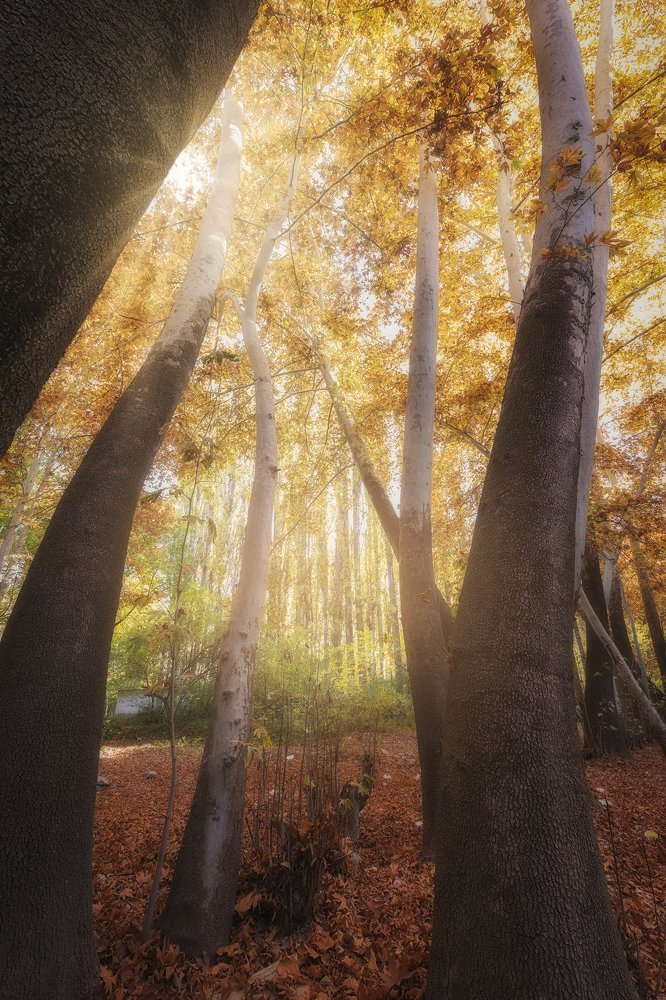 Photograph by Mahdi Sedaghi