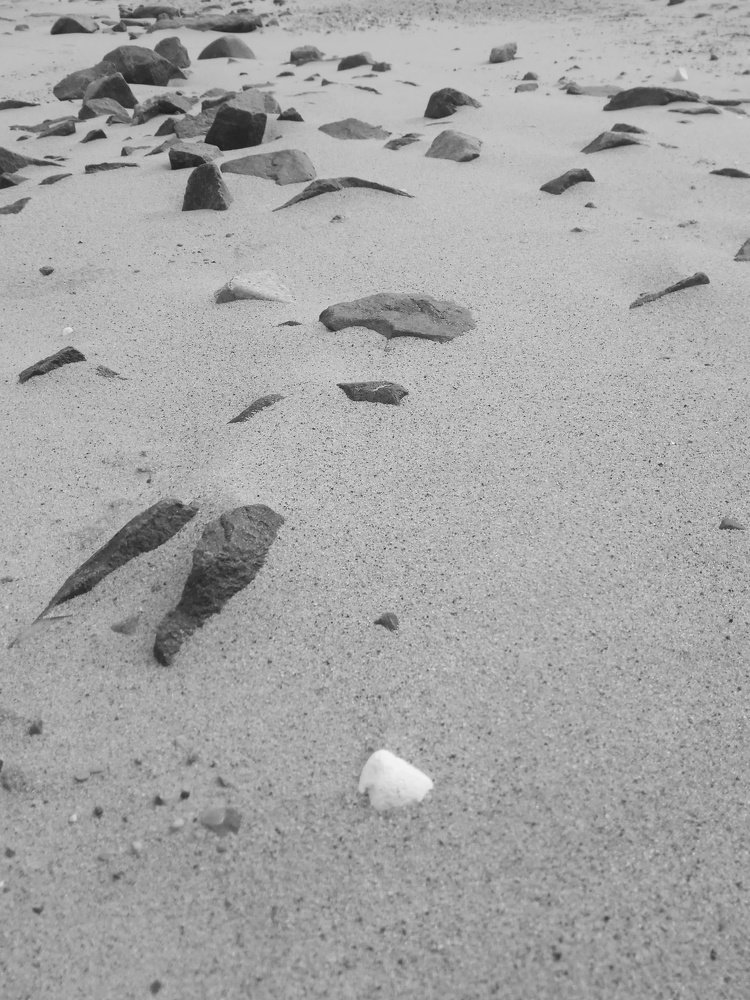 Photograph by Николай