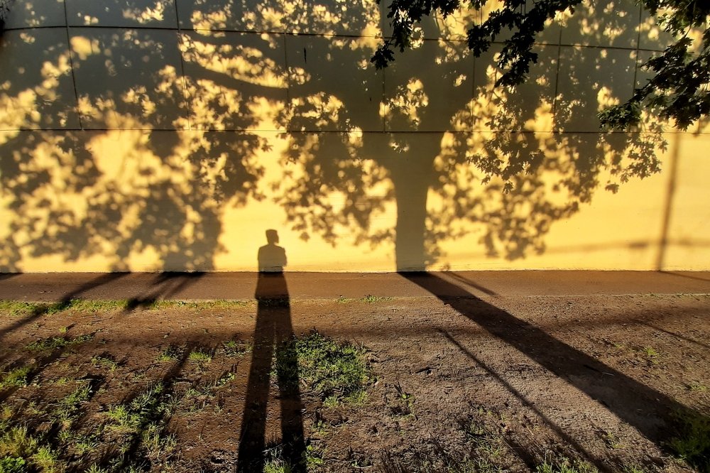 Photograph by Ibrahim Ahmed Chowdhury