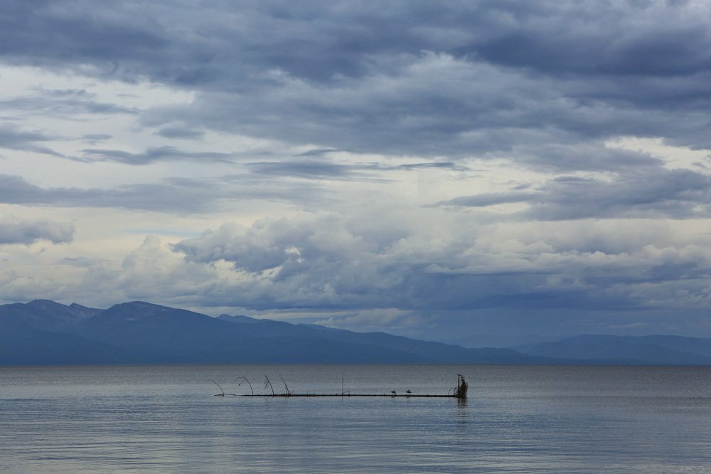 Photograph by Ирина Сушко