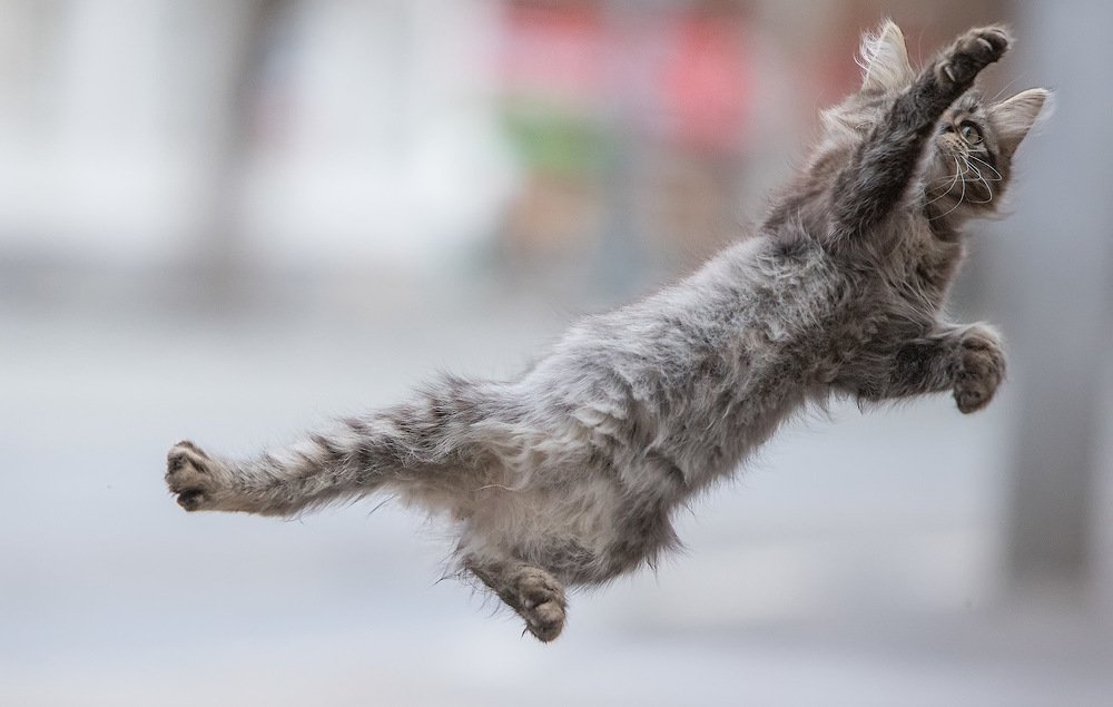 Photograph by Аркадий Саямов