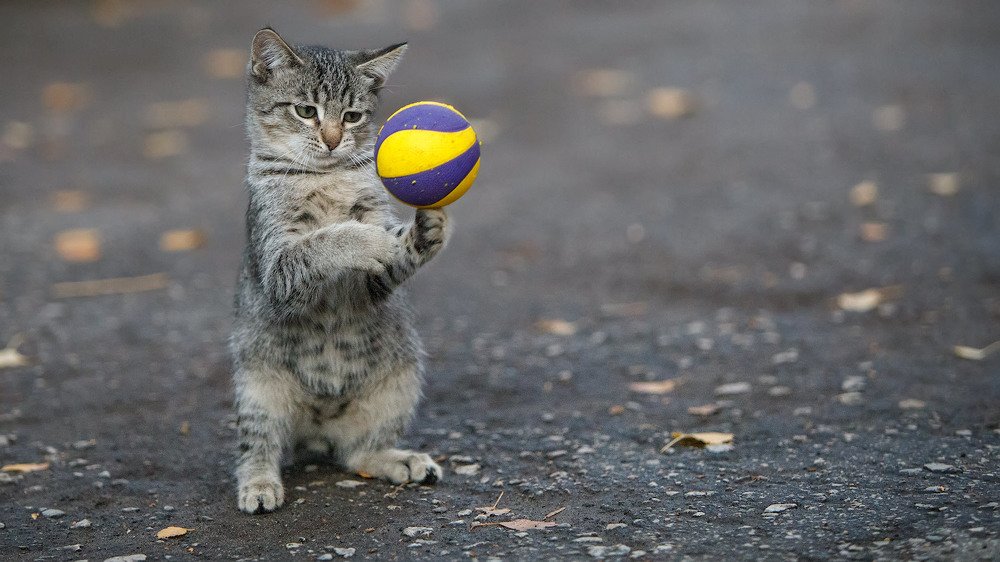 Photograph by Аркадий Саямов